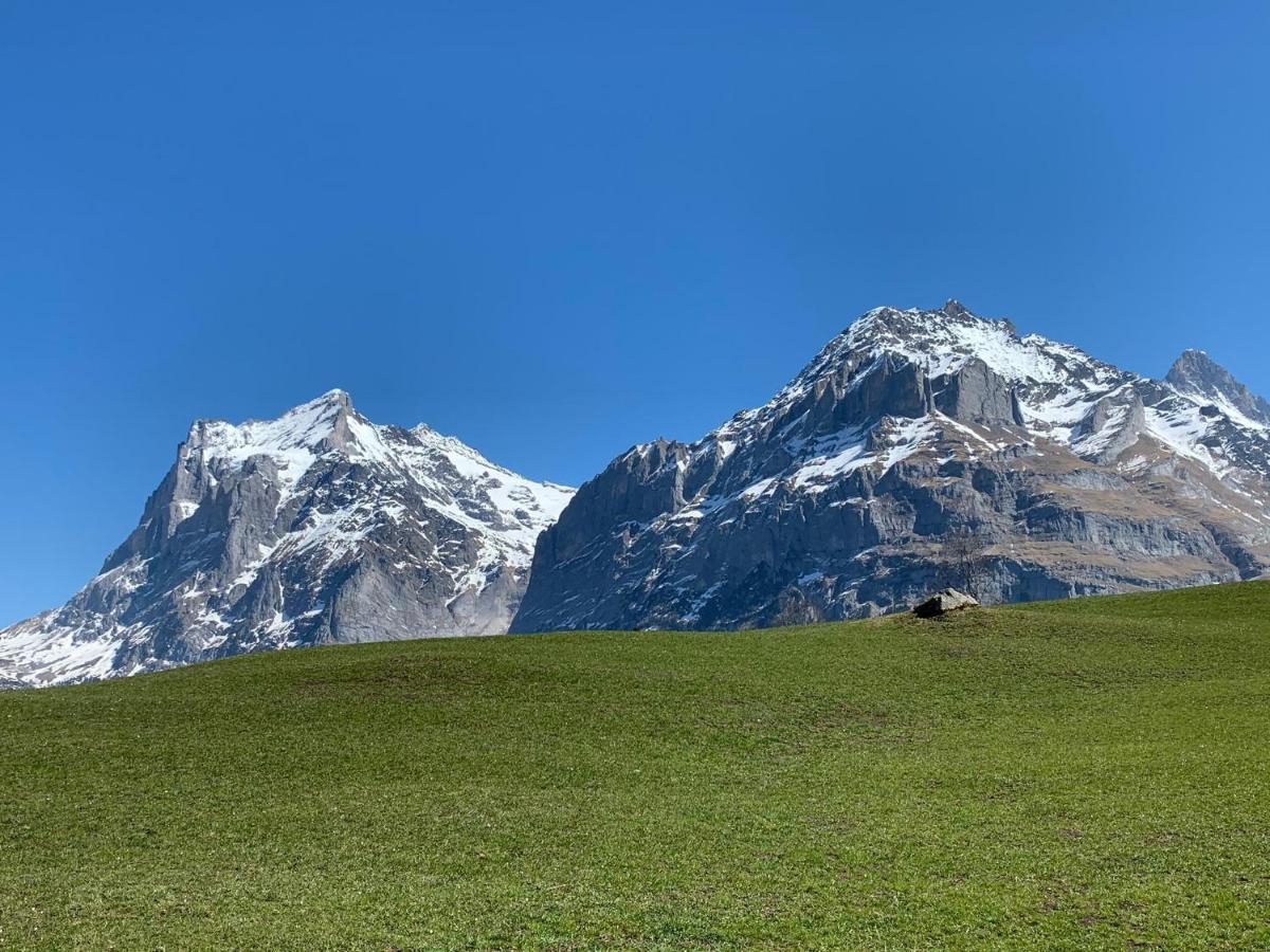 Ferienwohnung Fluehblüemli Grindelwald Exterior foto